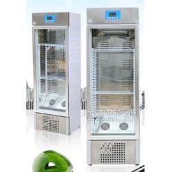 星美全自動酸奶機酸奶機單開門商用酸奶機